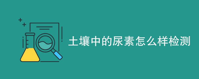 其它认证.png