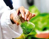 食品营养检测的科学迷宫解析