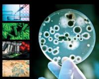 表面微生物检测标准与文明意义