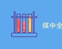 煤中全硫包括哪些内容